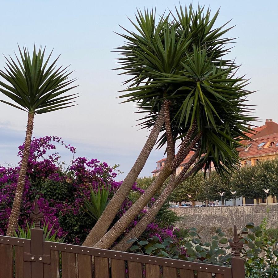 La Casa De Hierba - Casa De Campo De Diseno Con Jardin Y Wifi Cerca De Las Playas De Llanes Eksteriør billede