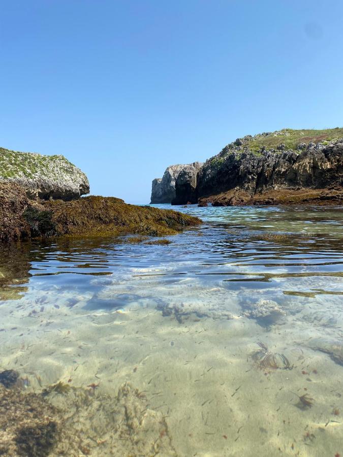 La Casa De Hierba - Casa De Campo De Diseno Con Jardin Y Wifi Cerca De Las Playas De Llanes Eksteriør billede